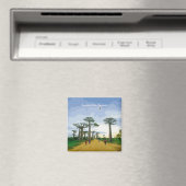 Allee der Baobabs, Madagaskar - Landschaft Magnet (In Situ (Geschirrspüler))