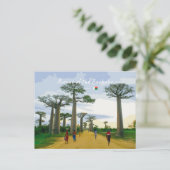 Allee der Baobabs, Madagaskar - Landschaft Postkarte (Stehend Vorderseite)