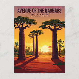 Allee der Baobabs Madagaskar Postkarte