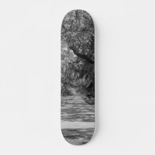 Allee der Eichen Graustufen Skateboard