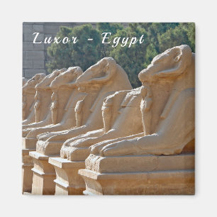 Allee der Sphinxe im Karnak-Tempel - Ägypten Magnet