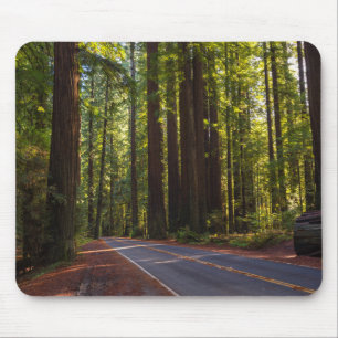 Allee des riesigen Rotholzes Kalifornien Mousepad
