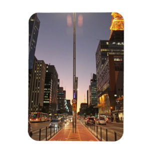 Allee Paulista - São Paulo Magnet
