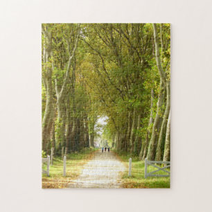 Allee Trees Foto Puzzle mit Geschenkboxen