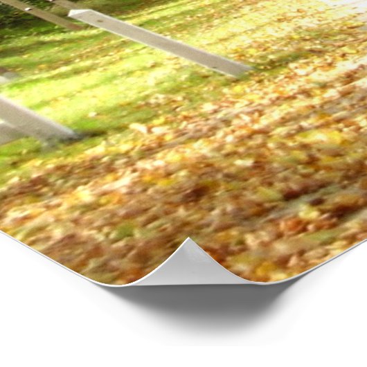 Allee Trees Poster (Ecke)