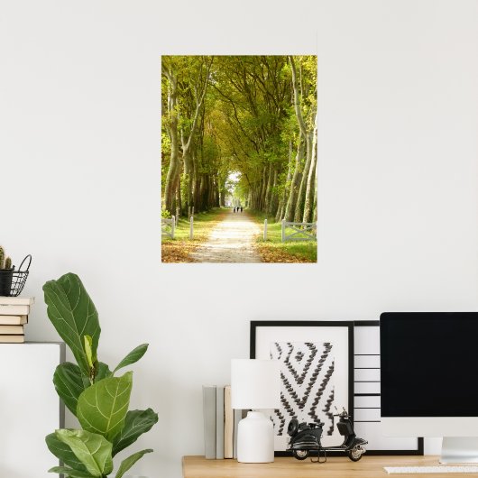 Allee Trees Poster (Heimbüro)