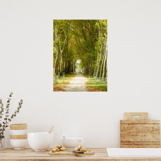 Allee Trees Poster (Küche)