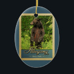 Allegano Staat Park Vintage Keramik Ornament<br><div class="desc">Vintage Reise-Ornament Allegany Staat Park Bild mit einem schwarzen Bär stehend auf seinen Hinterbeinen,  Blick in den grünen Wald.</div>