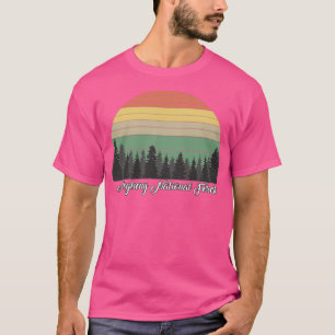 Allegheny National Forest 3 T-Shirt