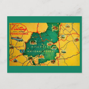 Allegheny National Forest Postkarte