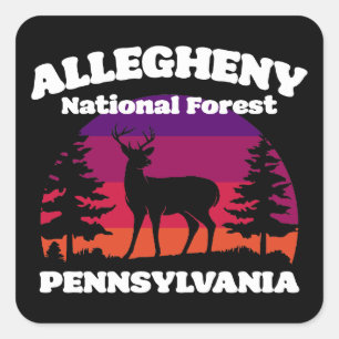 Allegheny National Forest Quadratischer Aufkleber