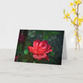 allegoricallittera.blogspot.com Rote Rose, Rose Karte (Gelbe Blume)