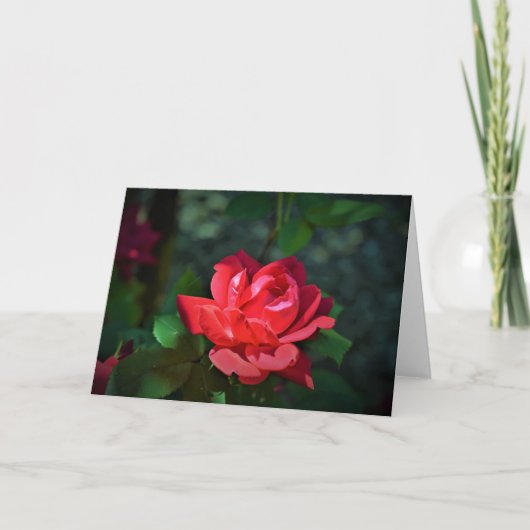 allegoricallittera.blogspot.com Rote Rose, Rose Karte (Vorderseite)