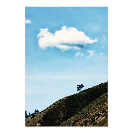 allein fotodruck (Vorne)