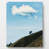 allein fotoplatte (Vorderseite)