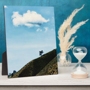 allein fotoplatte