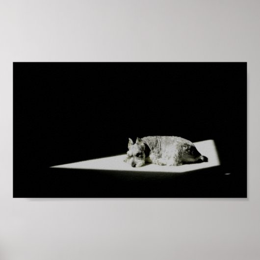 Allein im Licht Poster (Vorne)