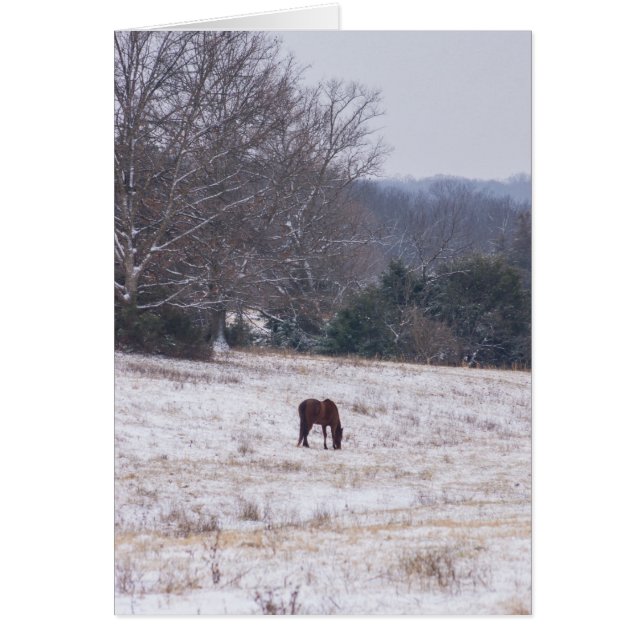 Allein im Schnee (Vorne)