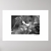 allein poster (Vorne)