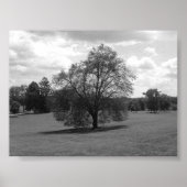 allein poster (Vorne)