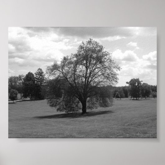 allein poster (Vorne)