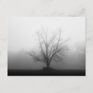 allein postkarte