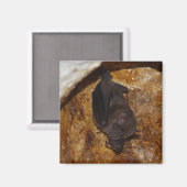 Alleinalleine Magnet (Vorderseite/Rückseite)