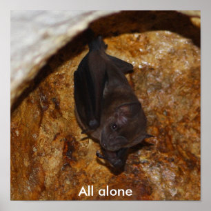 Alleinalleine Poster