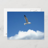 Alleinstehende Postkarte (Vorne/Hinten)