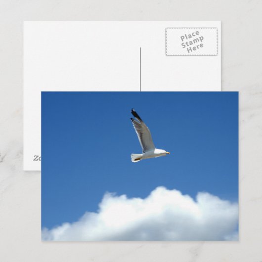 Alleinstehende Postkarte (Vorne/Hinten)