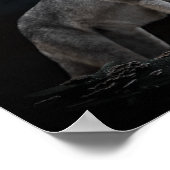 Alleinwolf Poster (Ecke)