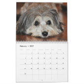 Allen Hunde von würzt Kalender 2015 (Feb 2027)