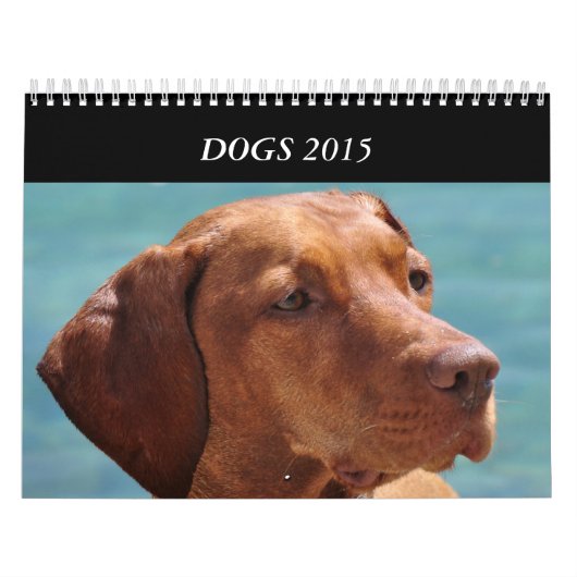Allen Hunde von würzt Kalender 2015 (Titelbild)