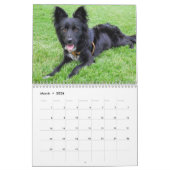 Allen Hunde von würzt Kalender 2015 (Mär 2026)