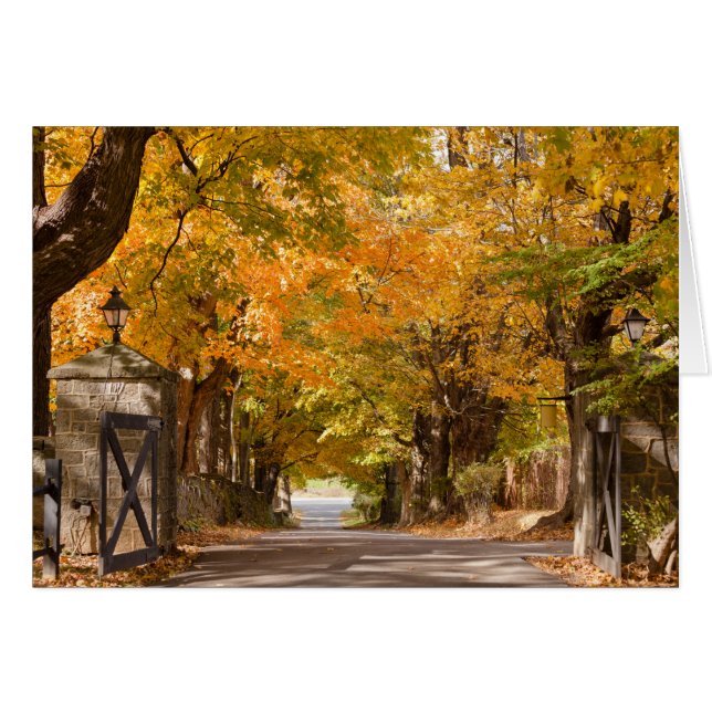 Allenberry Erholungsort-Antrieb (Vorderseite (Horizontal))