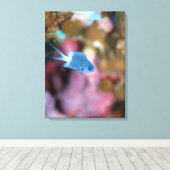 Allen's chromis leinwanddruck (Insitu (Holzboden))