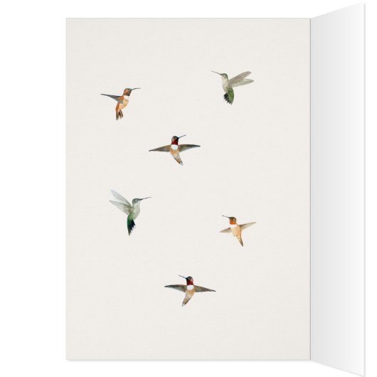 Allen's Hummingbird Birthday Card (Innen (Links))