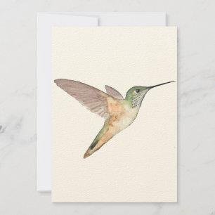 Allen's Hummingbird Flat Greeting Card Karte