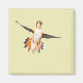 Allen's Hummingbird im Flight Magnet (Vorne)