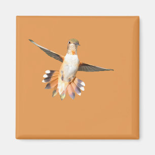 Allen's Hummingbird im Flight Magnet
