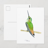 Allen's hummingbird postkarte (Vorne/Hinten)