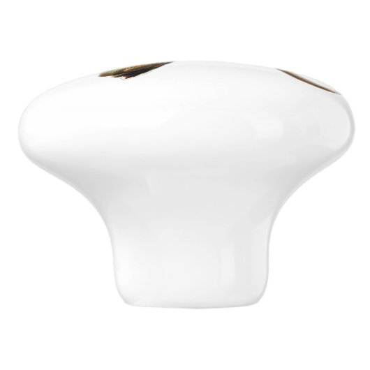 Allens Kolibrigriff Keramikknauf (Seitenansicht)