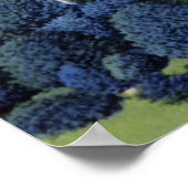 Allentown Pennsylvania Cedar Wappen Uni Poster (Ecke)