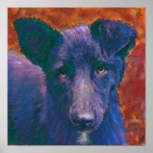 aller amerikanische Köter Poster