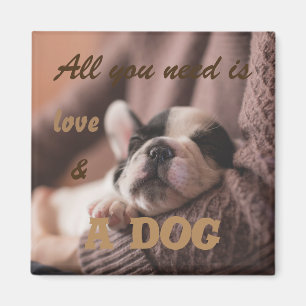 Aller, den Sie benötigen, ist Liebe und ein Hund Magnet