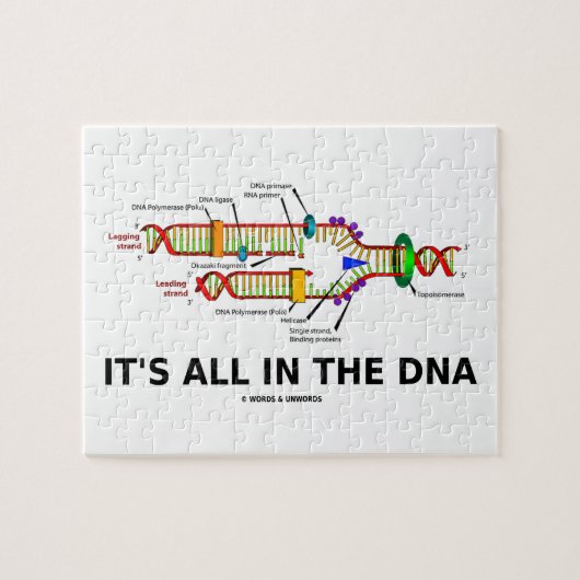 Aller es ist im Molekularbiologie-Spaß DNA Puzzle (Horizontal)