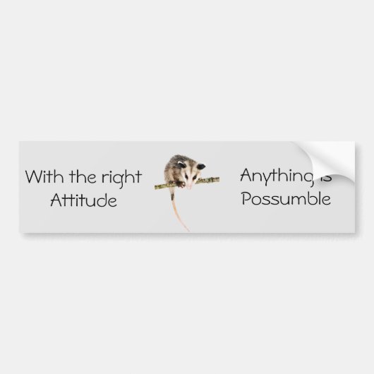 Aller ist Possumble Autoaufkleber (Vorne)