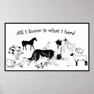 Alles, das ich weiß, ist, was I herd~Border Poster