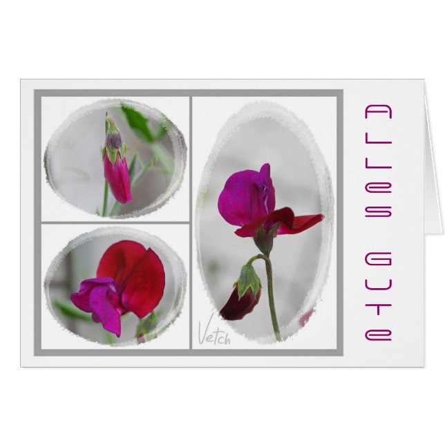 Alles Gute (Vorderseite (Horizontal))