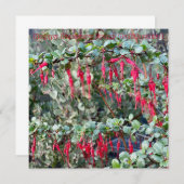 Alles Gute für den Januar aus Kalifornien! Mitteilungskarte (Vorne/Hinten)